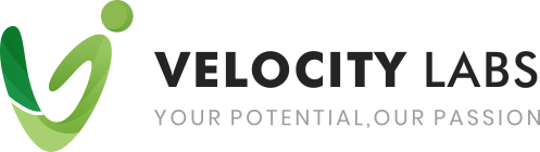 Velocity Labs