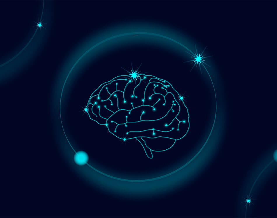 Awesome Data Collect Project